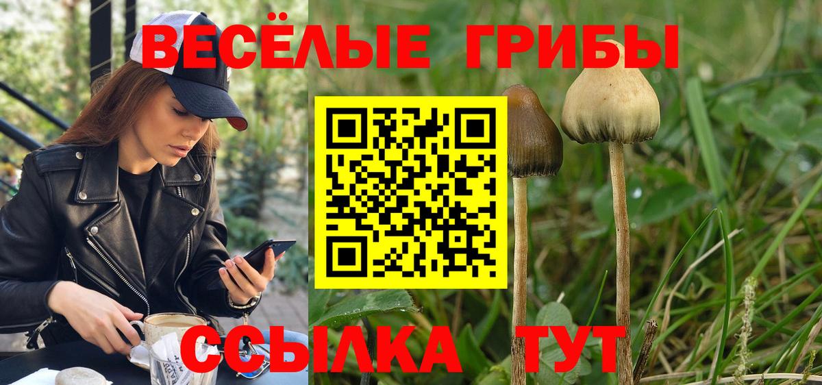 Псилоцибиновые грибы прущие грибы  Вход с VPN  Полевской 