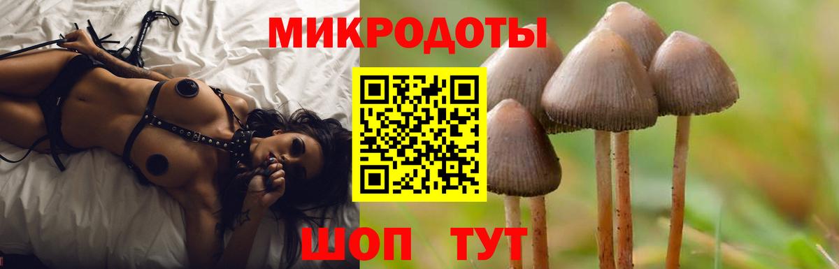 Галлюциногенные грибы прущие грибы Полевской
